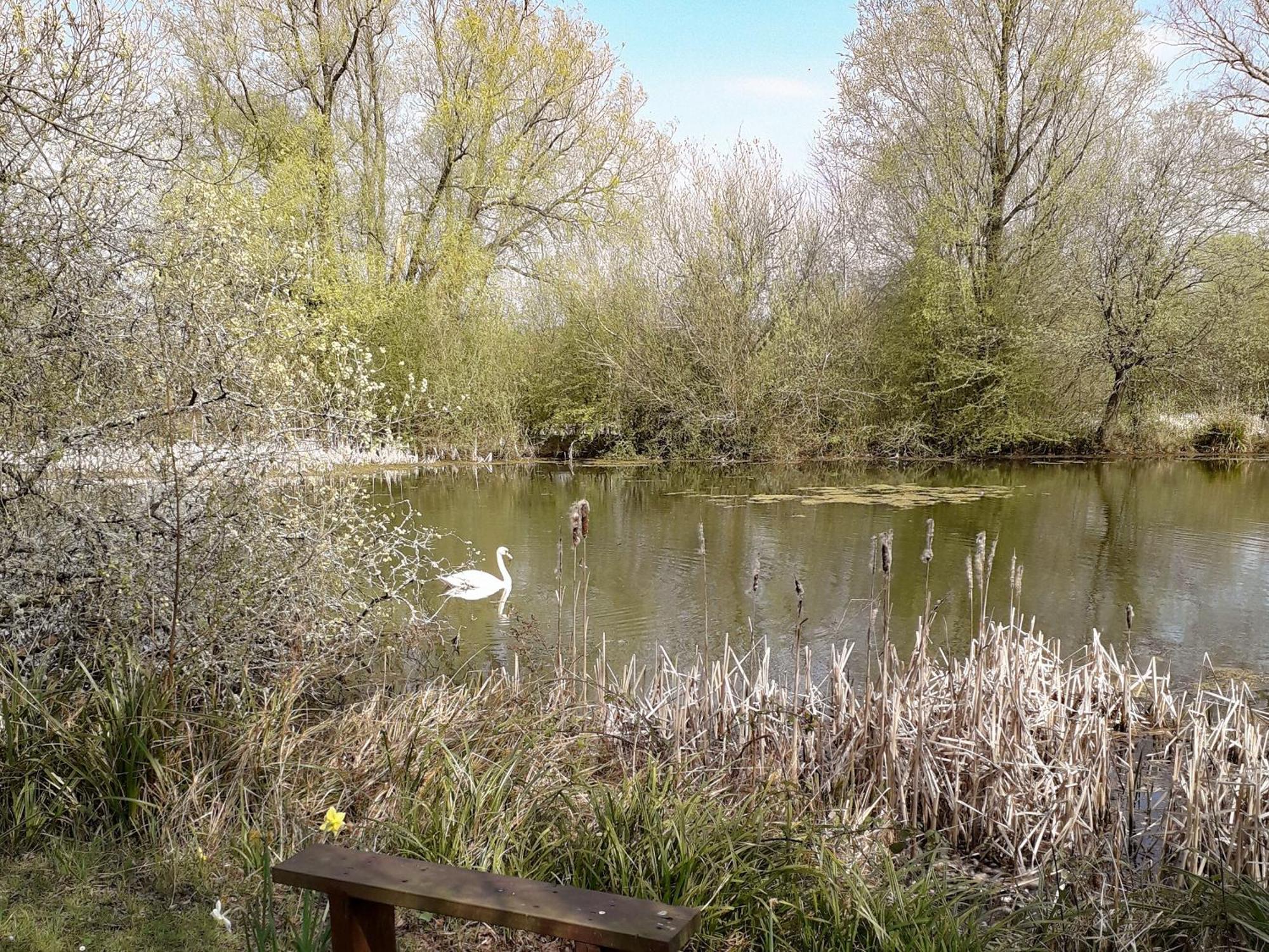 Herons Nest Bourton-on-the-Water Exteriér fotografie